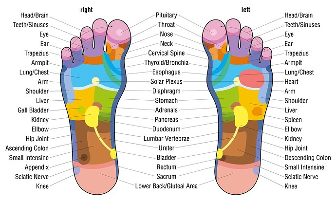 foot-reflexology-chart-@powerofpositivity-1-1