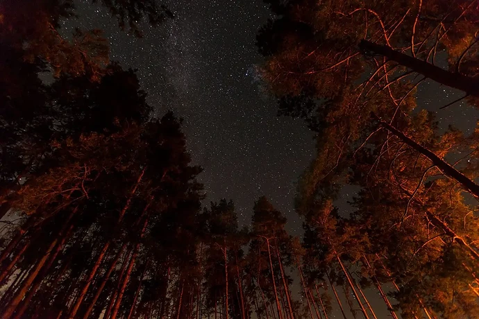 img_10_1720986343825