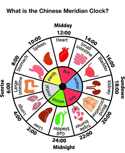 5f12105cdcce77d435bbd80d15bc17c70a923fa0_2_816x1000