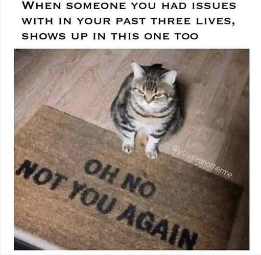 24591