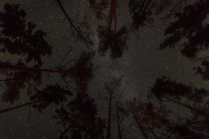 img_12_1720986368406