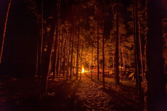 img_13_1720986379850