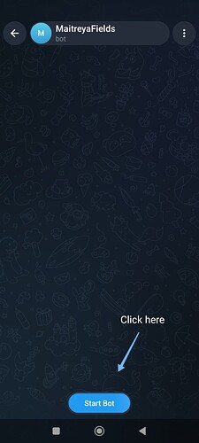 Start Bot