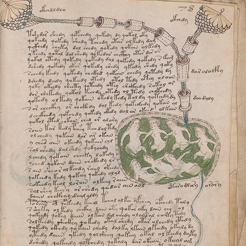 VoynichManuscript2-50watts_800x