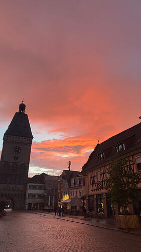 IMG_3979