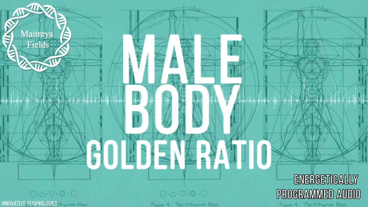 Male Body Golden Ratio New Releases Maitreya Fields 