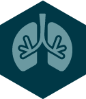 Breathing pillar